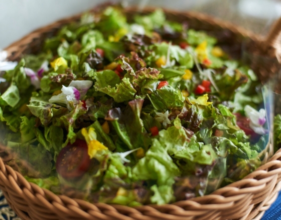 東京PAPA COOKの新鮮野菜のメランジェサラダの画像