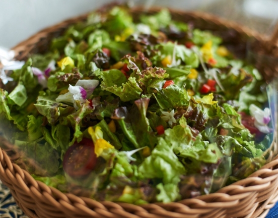 東京PAPA COOKの新鮮野菜のメランジェサラダの画像