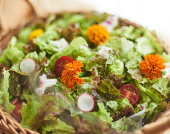 東京PAPA COOKの野菜たっぷりカポナータの画像